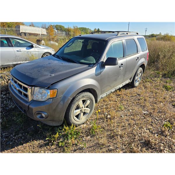 *OFFSITE* 2011 Ford escape- 1FMCU9DG2BKB37358-