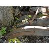 Image 10 : Old Sleigh Runner & Pole