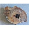 Image 2 : 1984 Live Edge Wood Clock