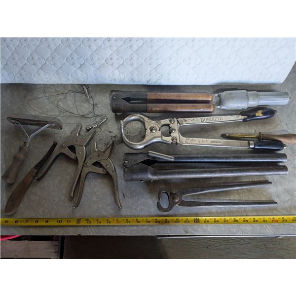 Assorted Cattle Tools - Dehorners, Brushes, etc.