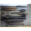 Image 2 : Assorted Cattle Tools - Dehorners, Brushes, etc.