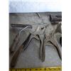 Image 3 : Assorted Cattle Tools - Dehorners, Brushes, etc.