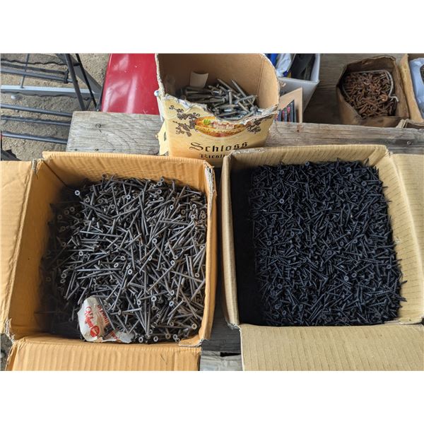 Large Lot of Assorted Screws