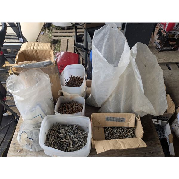 Large Lot of Assorted Nails