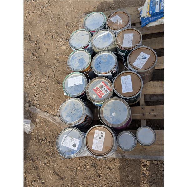 Assorted Tints, Paint, & Primer Lot *Not all Full Pails