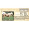 Image 1 : RF LUCKY KABOOM