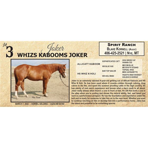 WHIZS KABOOMS JOKER