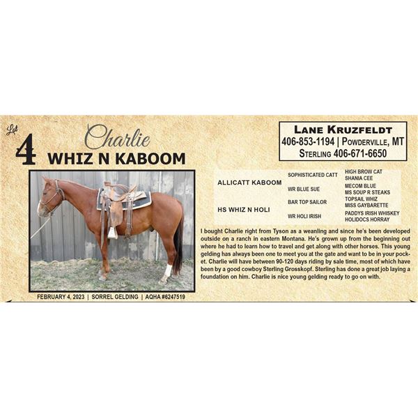 WHIZ N KABOOM