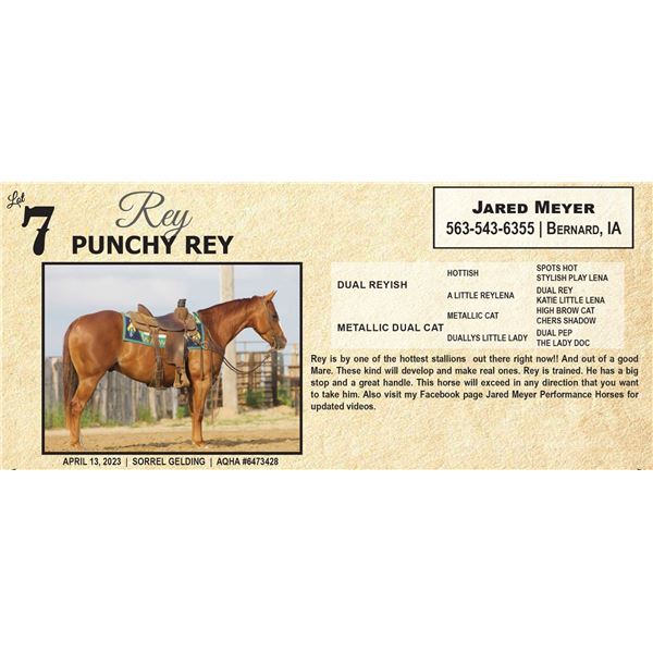 PUNCHY REY