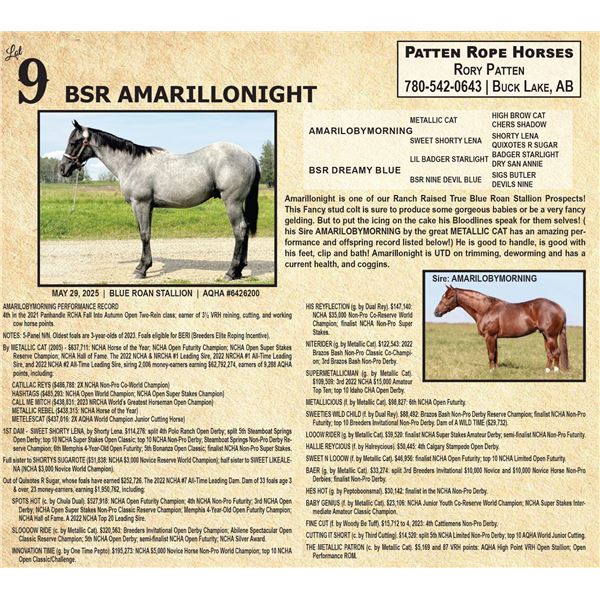 BSR AMARILLONIGHT