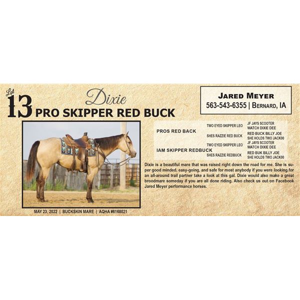 PRO SKIPPER RED BUCK