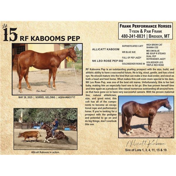 RF KABOOMS PEP