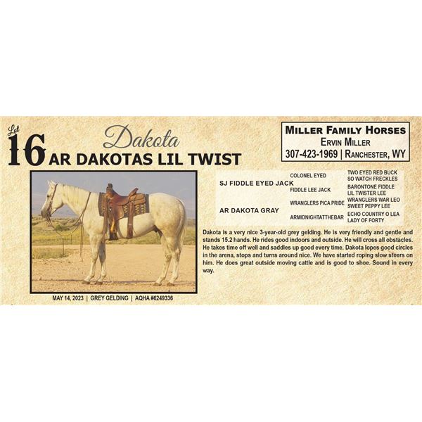 AR DAKOTAS LIL TWIST