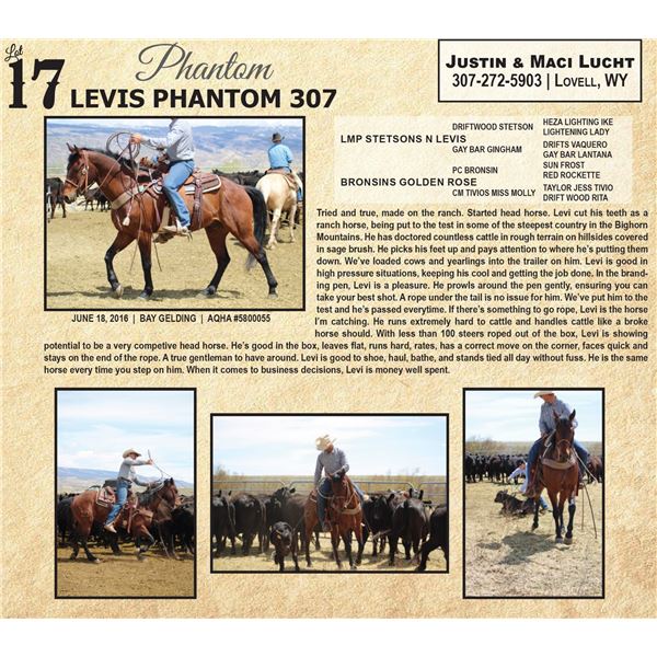 LEVIS PHANTOM 307