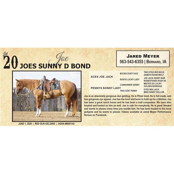 JOES SUNNY D BOND