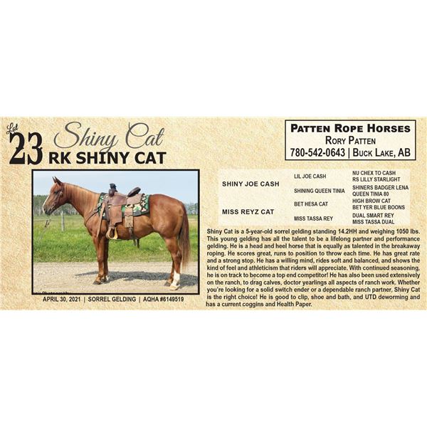 RK SHINY CAT