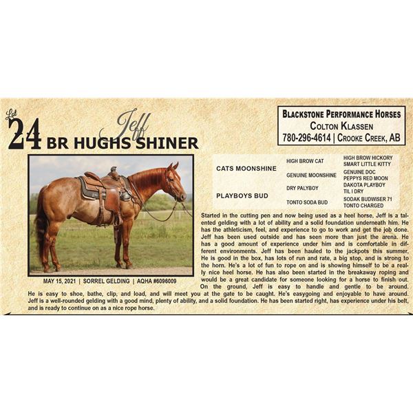 BR HUGHS SHINER