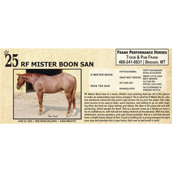 RF MISTER BOON SAN
