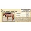 Image 1 : RF MISTER BOON SAN