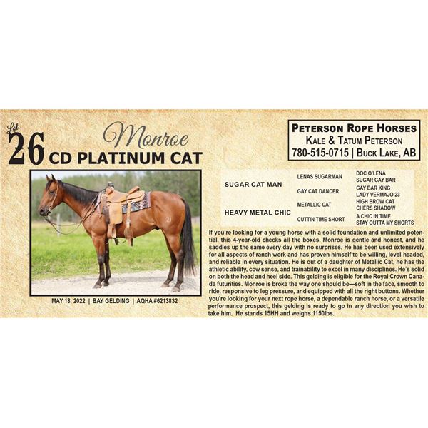 CD PLATINUM CAT