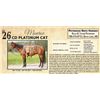 Image 1 : CD PLATINUM CAT
