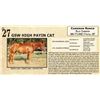 Image 1 : GSW HIGH PAYIN CAT