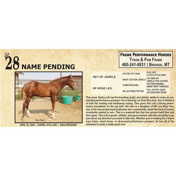 NAME PENDING