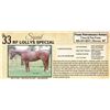 Image 1 : RF LOLLYS SPECIAL
