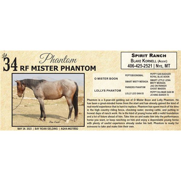 RF MISTER PHANTOM