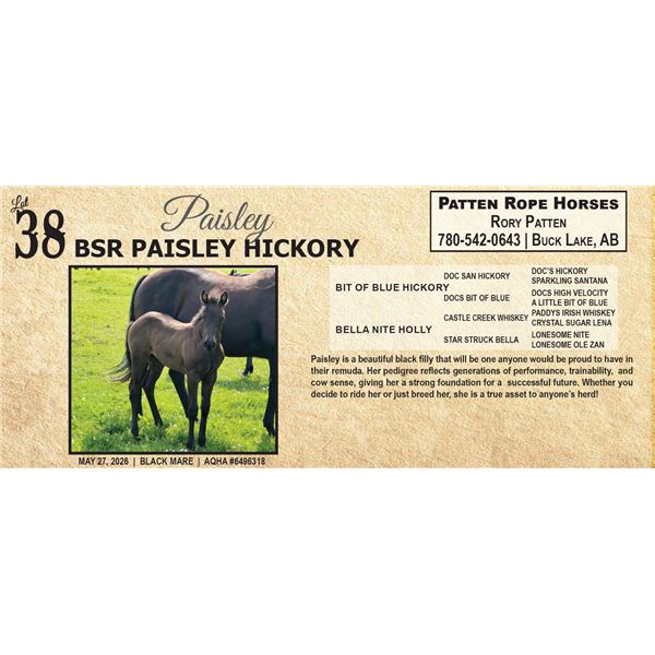 BSR PAISLEY HICKORY