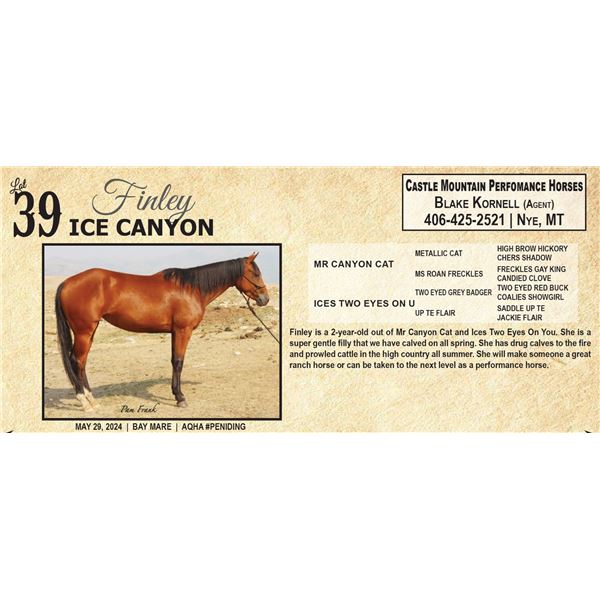 ICE CANYON