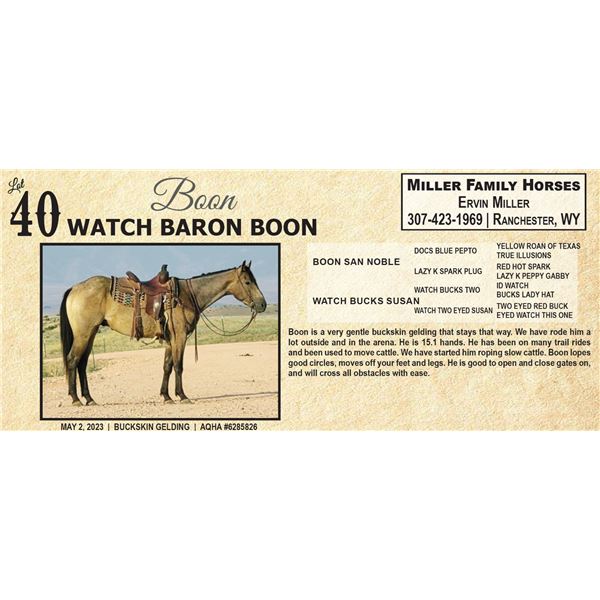 WATCH BARON BOON