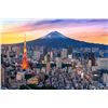 Image 2 : Tokyo to Kyoto: A Family Adventure in Japan
