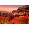 Image 4 : Tokyo to Kyoto: A Family Adventure in Japan