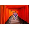 Image 6 : Tokyo to Kyoto: A Family Adventure in Japan