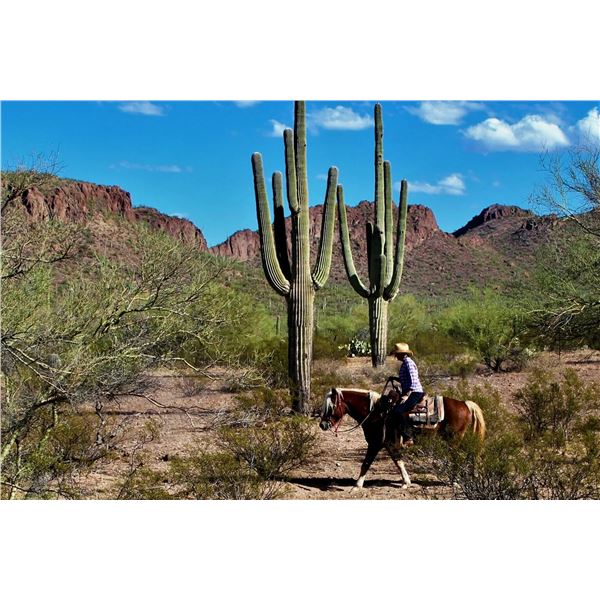 Desert & Dust: A Luxury Ranch Escape in Tucson
