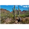 Image 1 : Desert & Dust: A Luxury Ranch Escape in Tucson
