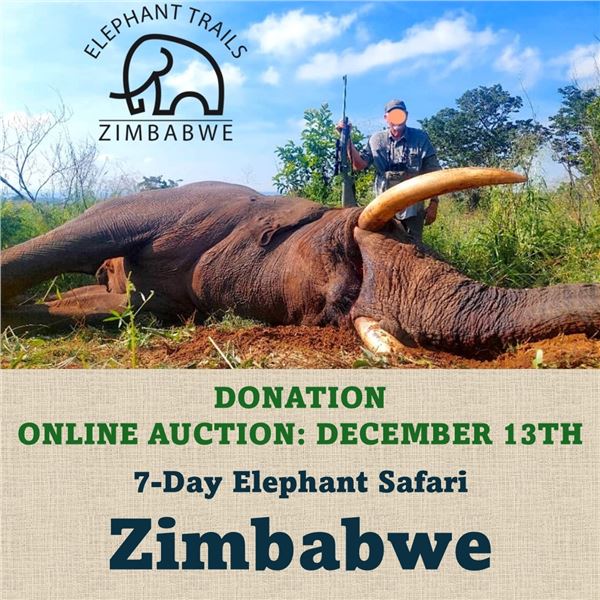 7-Day Elephant Safari in Zimbabwe