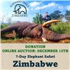 Image 1 : 7-Day Elephant Safari in Zimbabwe