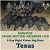 Image 1 : 2-Day Night Vision Hog Hunt in Texas