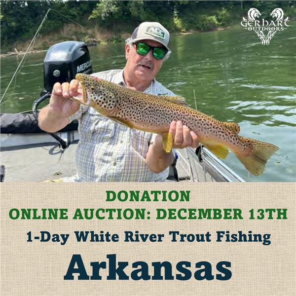 1-Day White River Trout Fishing in Arkansas