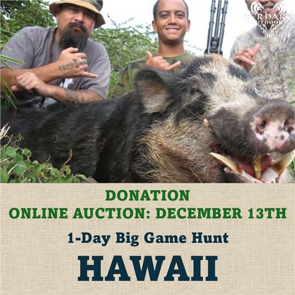 1-Day Big Game Hunt in Hawaii