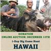 Image 1 : 1-Day Big Game Hunt in Hawaii