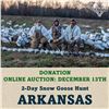 Image 1 : 2-Day Snow Goose Hunt in Arkansas