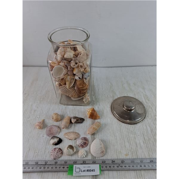 Jar of Seashells