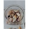 Image 2 : Jar of Seashells