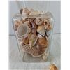 Image 3 : Jar of Seashells