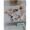 Image 4 : Jar of Seashells