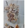 Image 5 : Jar of Seashells