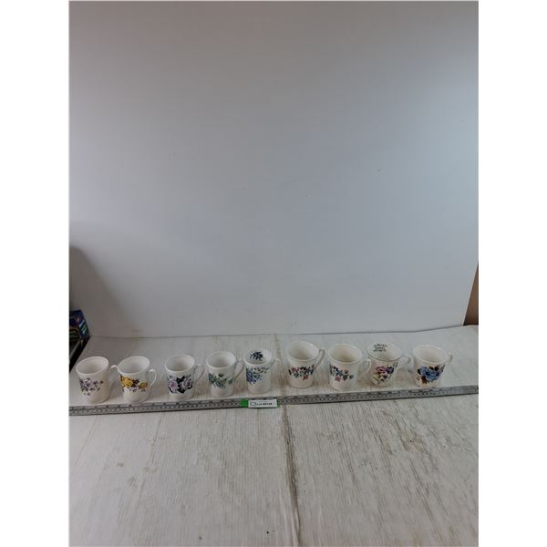 (9) Coffee Cups, (5) Royal London, (2) Rosina, (1) Salisbury and Royal Grafton